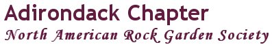 Adirondack Chapter, North American Rock Garden Society